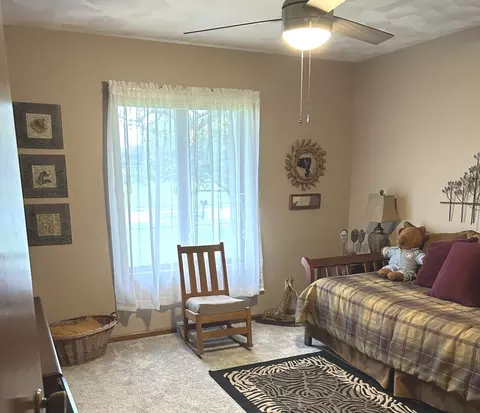 Bedroom - 355 Twilight Dr, Morris, IL 60450 photo 2 of 4