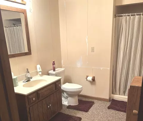 Bath - 355 Twilight Dr, Morris, IL 60450 photo 3 of 3