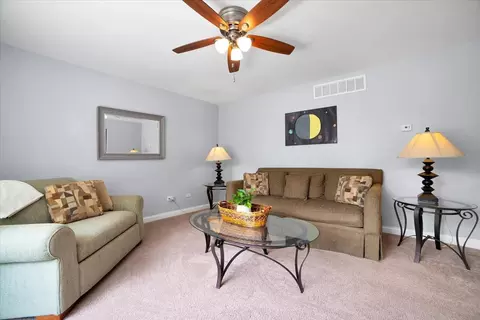 6603 Paul Briese Ct, Plainfield, IL 60544 photo 6