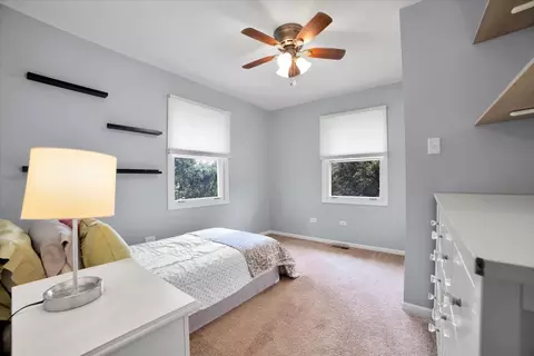 6603 Paul Briese Ct, Plainfield, IL 60544 photo 26