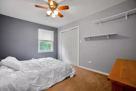 6603 Paul Briese Ct, Plainfield, IL 60544 photo 21