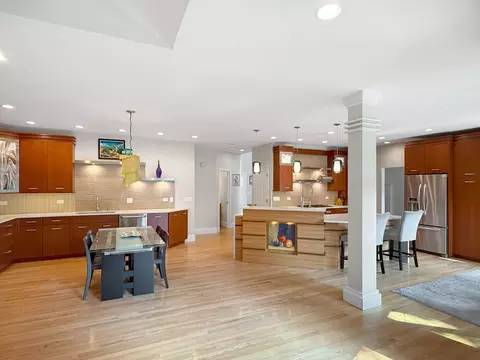 Kitchen - 1000 E Porter Ave, Naperville, IL 60540 photo 1 of 9