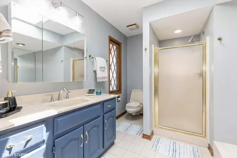 Bath - 1014 Douglas Ave, Flossmoor, IL 60422 photo 2 of 3
