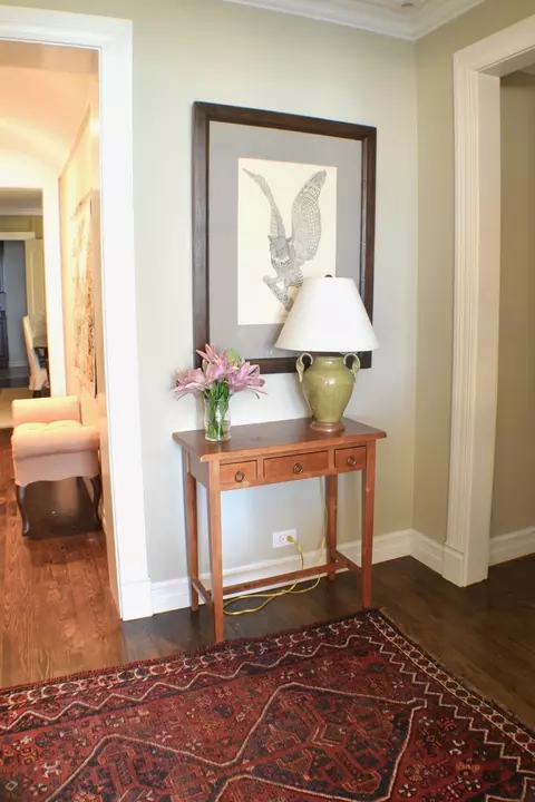 Entry Way - 210 E Pearson St #7B, Chicago, IL 60611 photo 2 of 2