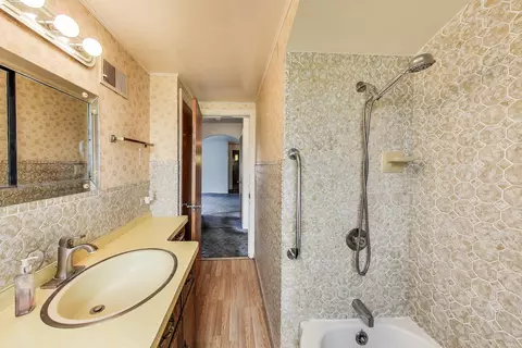 10117 Potter Rd, Des Plaines, IL 60016 photo 19