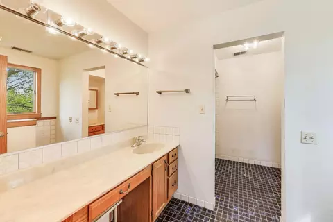 10117 Potter Rd, Des Plaines, IL 60016 photo 21