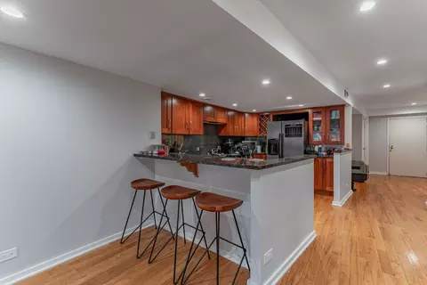 40 E 9th St #1807, Chicago, IL 60605 photo 9