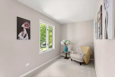 2731 Wolf River Ct, Naperville, IL 60565 photo 25
