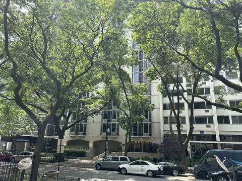 1340 N Dearborn St #2C, Chicago, IL 60610