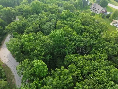 7402 Forest Oak Dr, Mchenry, IL 60050 photo 7