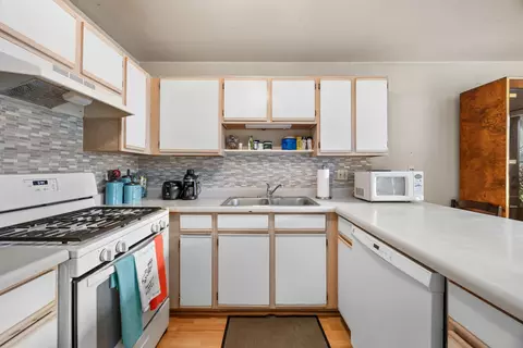 Kitchen - 1022 Chaucer Ct #B, Elgin, IL 60120 photo 2 of 3