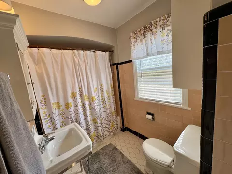 Bath - 10043 S Artesian Ave, Chicago, IL 60655 photo 2 of 2