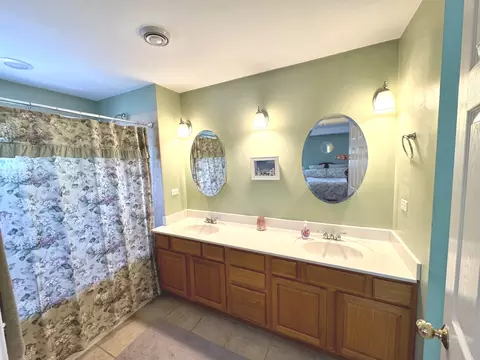 Bath - 10043 S Artesian Ave, Chicago, IL 60655 photo 1 of 2