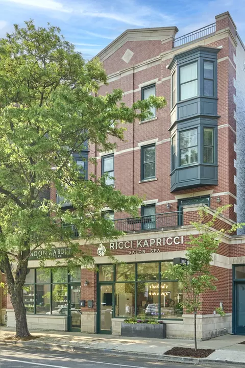 1020 W Armitage Ave #3A, Chicago, IL 60614