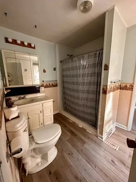 Bath - 361 Wiley Ave, Paw Paw, IL 61353 photo 1 of 2