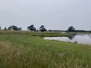 9251 N 950 E Rd, Shirley, IL 61772