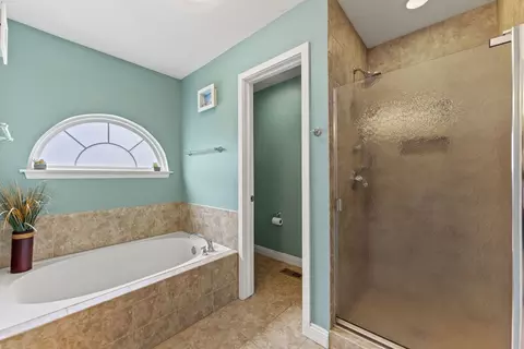 1132 Locust Ct, Bartlett, IL 60103 photo 22