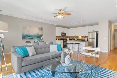 Living - 1425 S Halsted St #2B, Chicago, IL 60607 photo 3 of 5