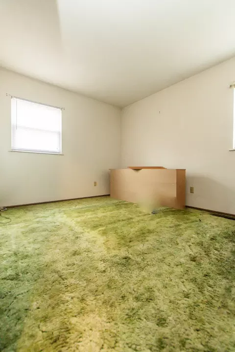 Bedroom - 1602 N Jefferson Ave, Dixon, IL 61021 photo 2 of 2