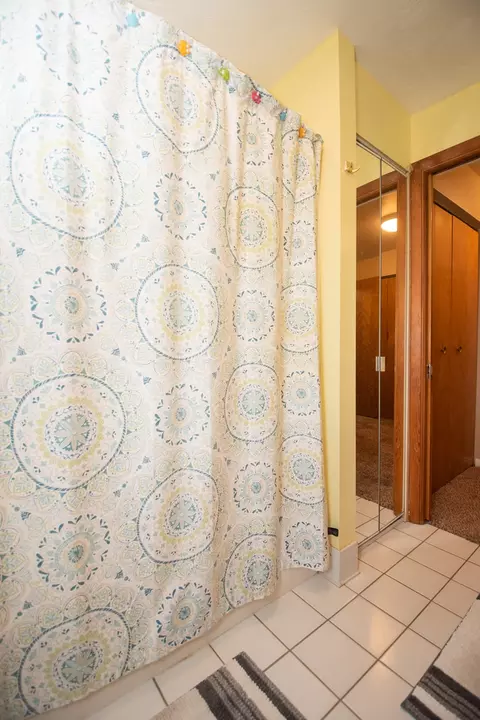 Bath - 1104 Beech Dr, Dixon, IL 61021 photo 2 of 3