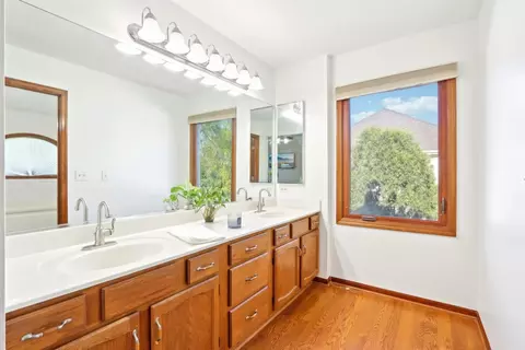 Bath - 1337 E Thacker St, Schaumburg, IL 60173 photo 2 of 7