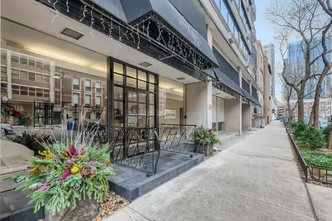 33 E Cedar St #17D, Chicago, IL 60611 photo 1