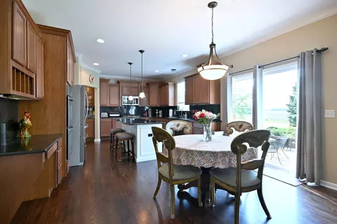 13464 Skyline Dr, Plainfield, IL 60585 photo 14