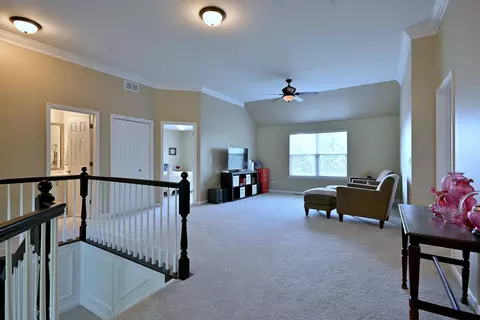 13464 Skyline Dr, Plainfield, IL 60585 photo 23