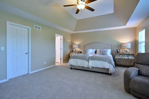 13464 Skyline Dr, Plainfield, IL 60585 photo 27