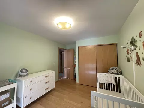 Bedroom - 156 Thackeray Dr, Bolingbrook, IL 60440 photo 4 of 4
