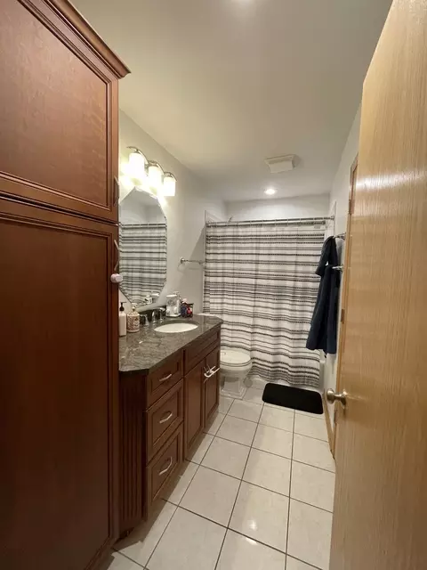 Bath - 156 Thackeray Dr, Bolingbrook, IL 60440 photo 1 of 5