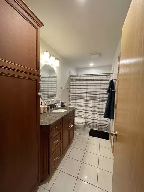 Bath - 156 Thackeray Dr, Bolingbrook, IL 60440 photo 2 of 5