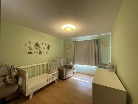 Bedroom - 156 Thackeray Dr, Bolingbrook, IL 60440 photo 3 of 4