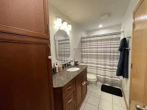 Bath - 156 Thackeray Dr, Bolingbrook, IL 60440 photo 3 of 5