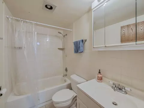 Bath - 5600 Astor Ln #202, Rolling Meadows, IL 60008 photo 1 of 1