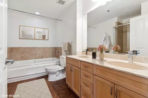 Bath - 1250 S Michigan Ave #1701, Chicago, IL 60605 photo 1 of 2