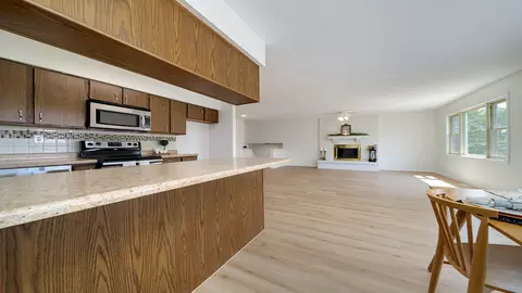 1320 Lake Summerset Rd, Davis, IL 61019 photo 16