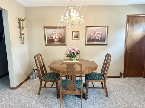 411 1st Ave, Ottawa, IL 61350 photo 8