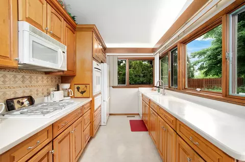 440 E Walnut St, Roselle, IL 60172 photo 7