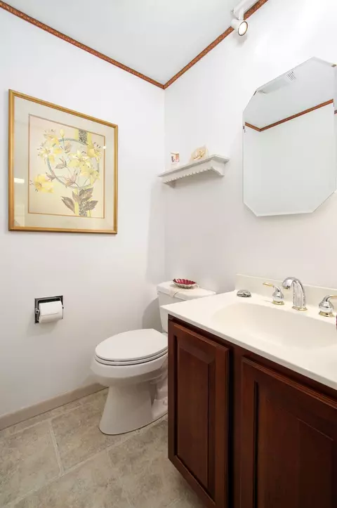 440 E Walnut St, Roselle, IL 60172 photo 19
