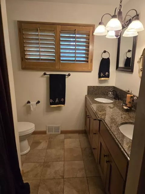 Bath - 842 Highview Ave, Olympia Fields, IL 60461 photo 2 of 6