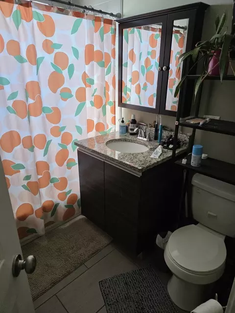 Other - 1106 N Hamlin Ave, Chicago, IL 60651 photo 8 of 14