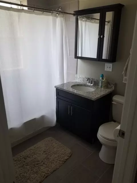 Bath - 1106 N Hamlin Ave, Chicago, IL 60651 photo 1 of 1
