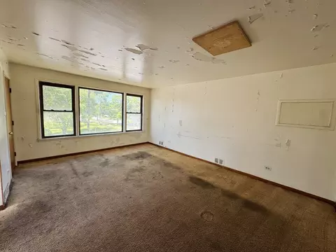 1019 E 93rd St, Chicago, IL 60619 photo 16