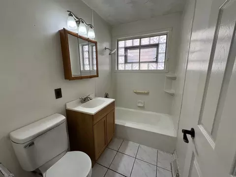 1019 E 93rd St, Chicago, IL 60619 photo 20