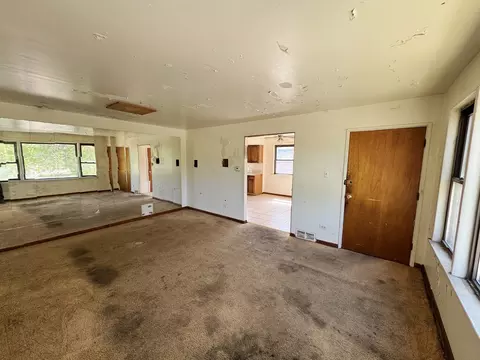 1019 E 93rd St, Chicago, IL 60619 photo 18