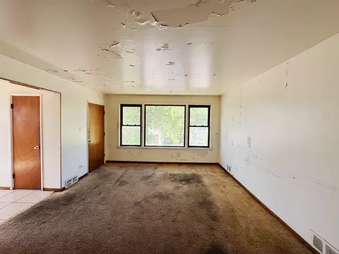 1019 E 93rd St, Chicago, IL 60619 photo 17