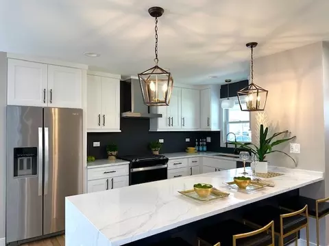 903 Jarvis Ave, Des Plaines, IL 60018 photo 6