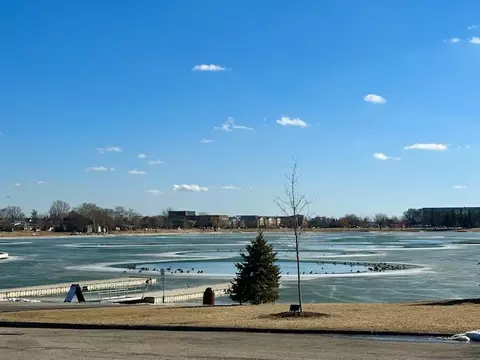 903 Jarvis Ave, Des Plaines, IL 60018 photo 34