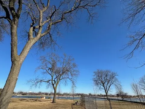903 Jarvis Ave, Des Plaines, IL 60018 photo 35